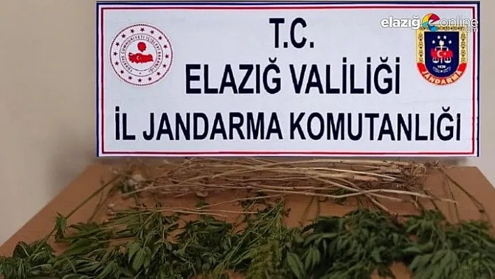 Uyuşturucu ile Mücadele Elazığ'da Hız Kesmiyor