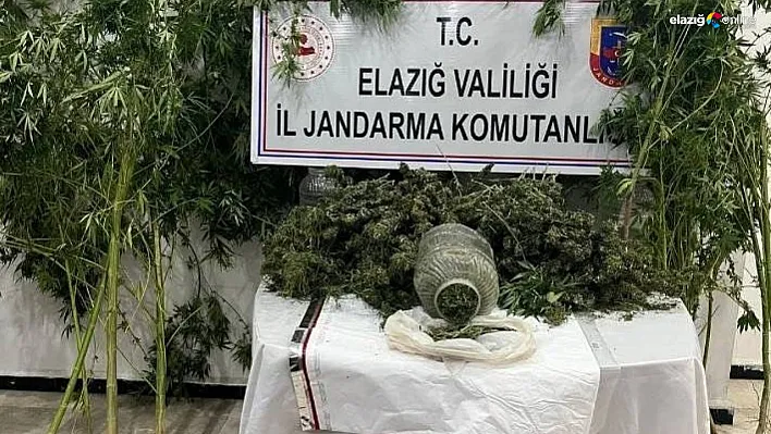 Elazığ'da Uyuşturucu Operasyonu: Skunk Kenevir ve Kubar Esrar Ele Geçirildi!