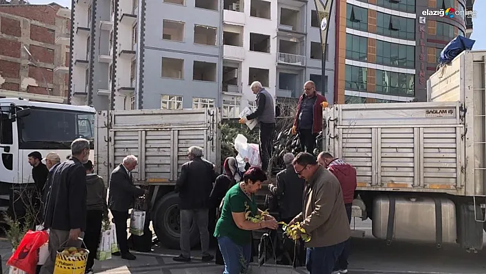 Fidan dağıtım etkinliğine vatandaşlardan büyük ilgi