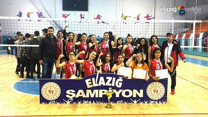 Elazığ'da voleybol müsabakaları sona erdi