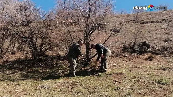 Fotokapanlardan kaçak avcılara geçit yok