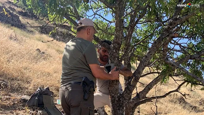 Elazığ'da fotokapanların bakımı yapıldı