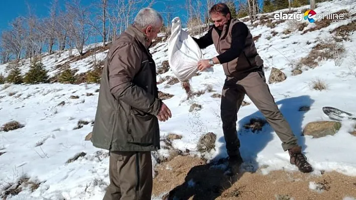 Her kış olduğu gibi bu kışta yaban hayvanları unutulmadı