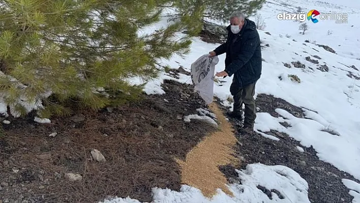 Elazığ'da yaban hayvanları için doğaya yem bırakıldı