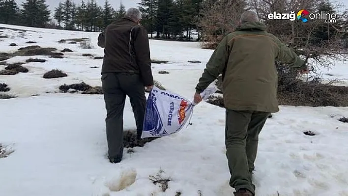 Yaban hayvanlarına yem desteği sürüyor