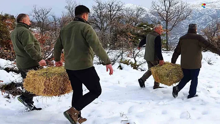 Elazığ'da Kış Seferberliği: Yaban Hayatı için 850 Kilo Yem Desteği!