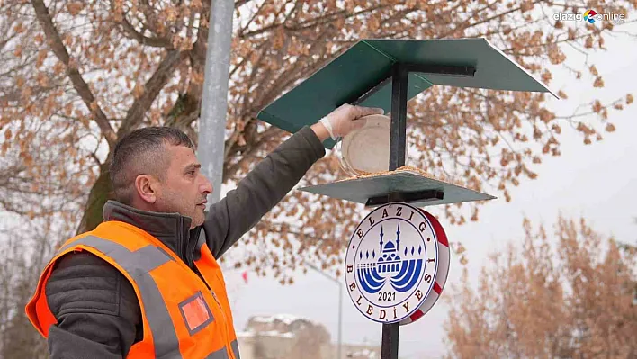 Elazığ Belediyesi'nden Can Dostlara Destek!