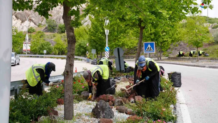 Elazığ Belediyesinden bahar temizliği