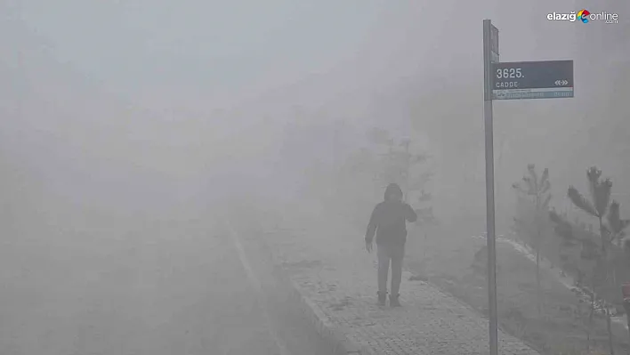 Elazığ'da Sabah Saatlerinde Etkili Olan Yoğun Sis, Çatalçeşme Mahallesi'ni Adeta Yuttu!