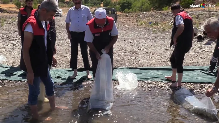 Tarım ve Orman Bakanlığı'ndan Elazığ'a Dev Balıklandırma Projesi!