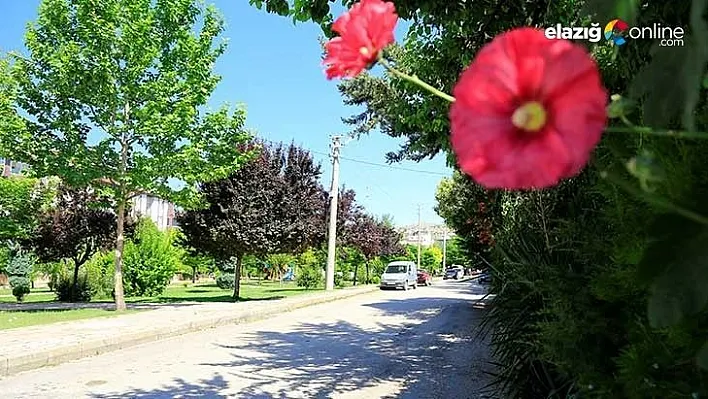 Elazığ kısıtlamaya uydu, sokak ve parklar sessiz kaldı