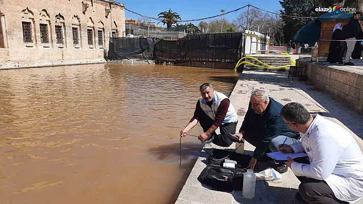 Elazığ Su Ürünleri Araştırma Enstitüsü, Balıklıgöl'de inceleme yaptı