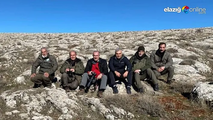 Vali Toraman, dağ keçilerini izleme çalışmasına katıldı