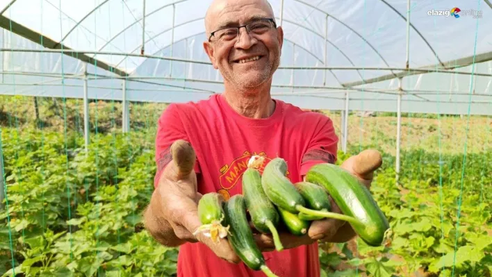 Üretime başladı ama çalıştıracak eleman bulamıyor