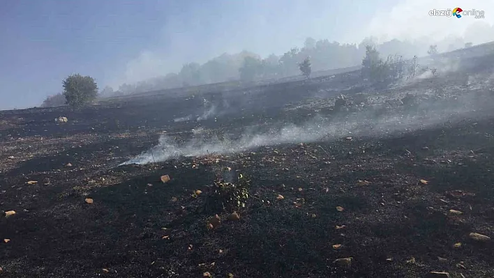 Ergani'deki örtü yangını 10 saat sonra kontrol altına alındı