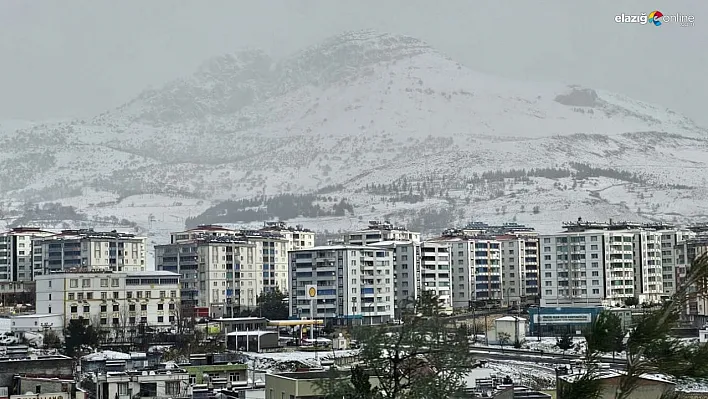 Ergani kar yağışı sonrası beyaza büründü