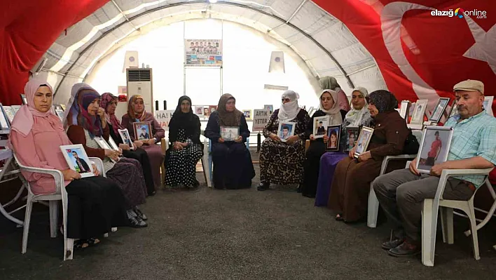 Evlat nöbetindeki anne: 'Oğlum kaçırılmasaydı gazetecilik mesleğini icra edecekti'