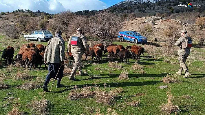 4 saatlik arama sonucunda bulundular