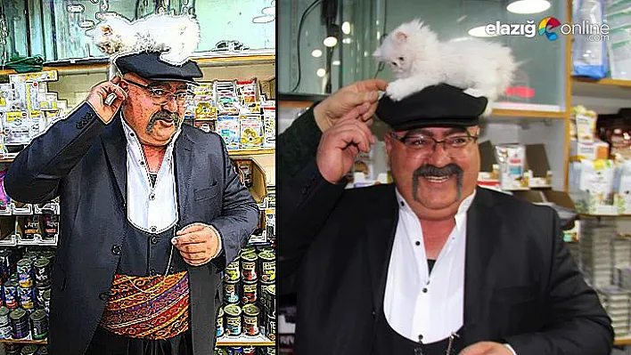 Gakgo Gökalp kediyi görmek için her gün pet shop'a gidiyor