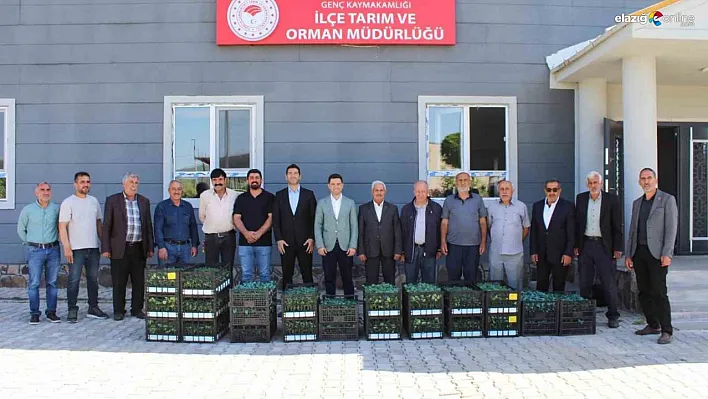 Genç'te üreticilere sebze fidesi dağıtıldı