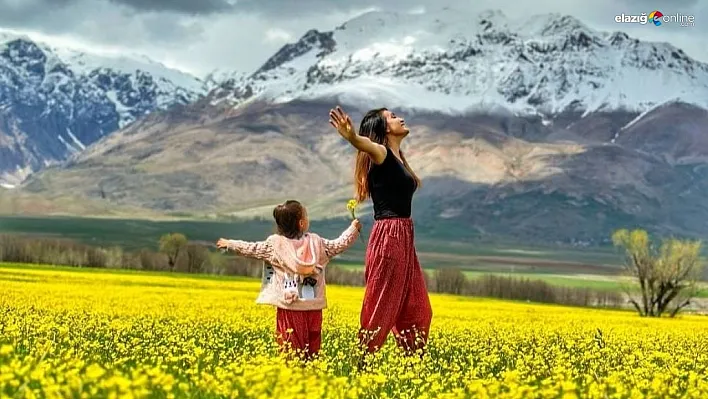 Hardal çiçekleri Tunceli'yi sarıya boyadı, ortaya eşsiz manzaralar çıktı