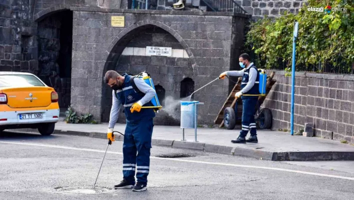 Haşerelere karşı ilaçlama çalışmaları sürüyor