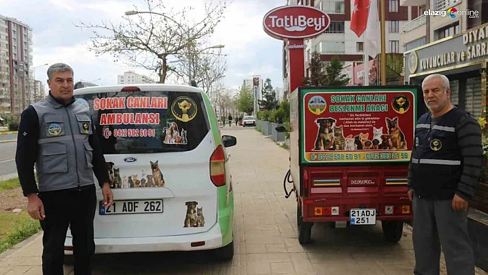 Hayvansever oda başkanı sokak canları için ticari aracı ambulansa çevirdi