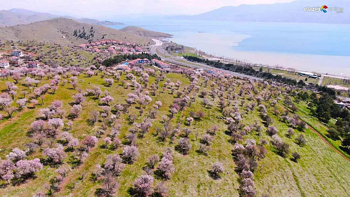 Hazar Gölü'nde eşsiz manzara havadan görüntülendi