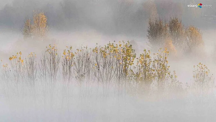 Dicle Nehri Üzerinde Sis Denizi! Hevsel Bahçeleri'nde Eşsiz Sonbahar Manzarası