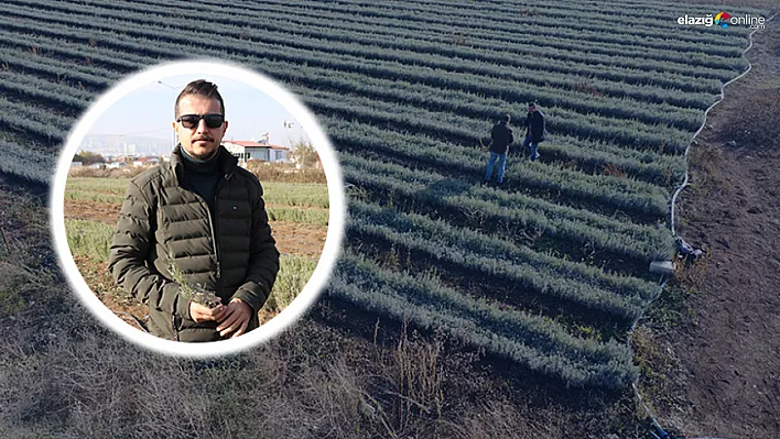 Hobi olarak başladı şimdi 7 ülkeye gönderiyor!