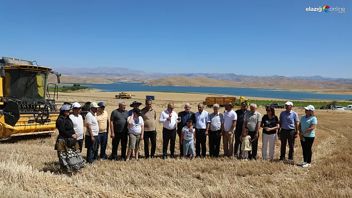 Hububat Hasadında Elazığ'da Bereketli Sezon: 350 Bin Ton Rekolte Bekleniyor!