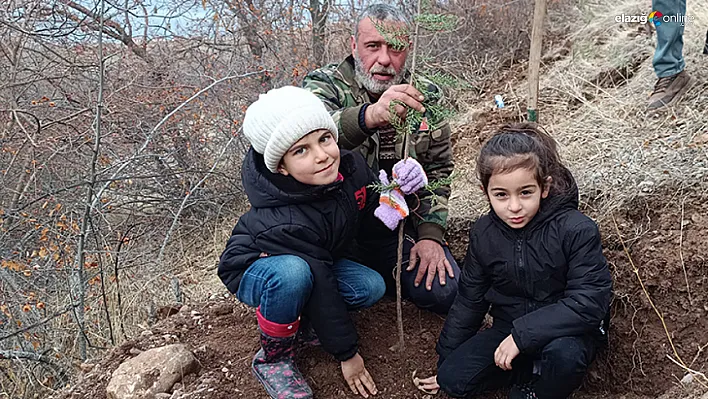 İçme Köyü'nde Fidan Dikme Kampanyası: Mastar Dağı Etekleri Yeşile Boyanıyor!