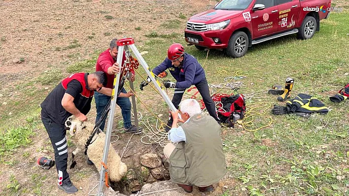 İtfaiye ekipleri kuyuya düşen koyunu kurtardı