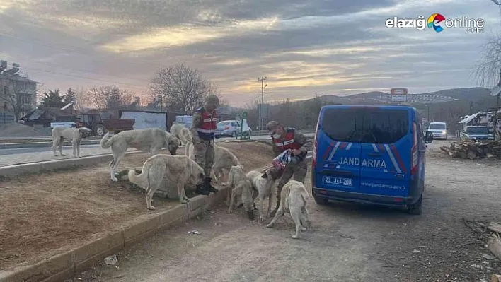 Jandarma, onları Ramazan ayında da yalnız bırakmadı