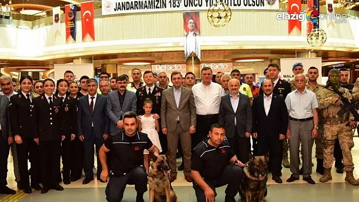 Jandarma sergisinde 'Aşıl' ve 'Payda' ilgi odağı oldu