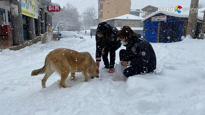 Jandarma ve polisten yüreklere dokunan hareket