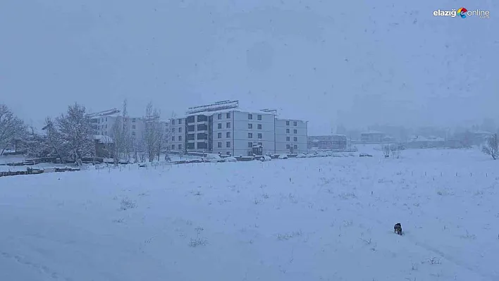 Kar, bir ilçenin tüm köy yollarını ulaşıma kapattı