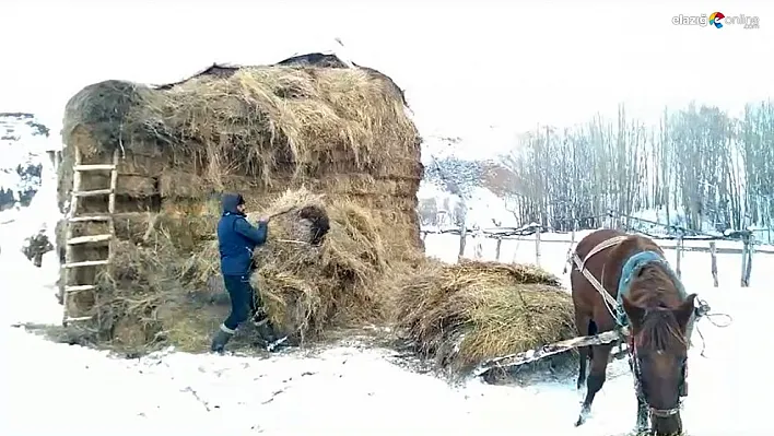 Kardan sonra besicilerin de zorlu mesaisi başladı