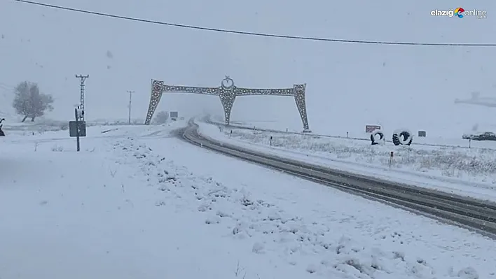 Karlıova'da beklenen kar yağdı, ilçe tamamen beyaza büründü