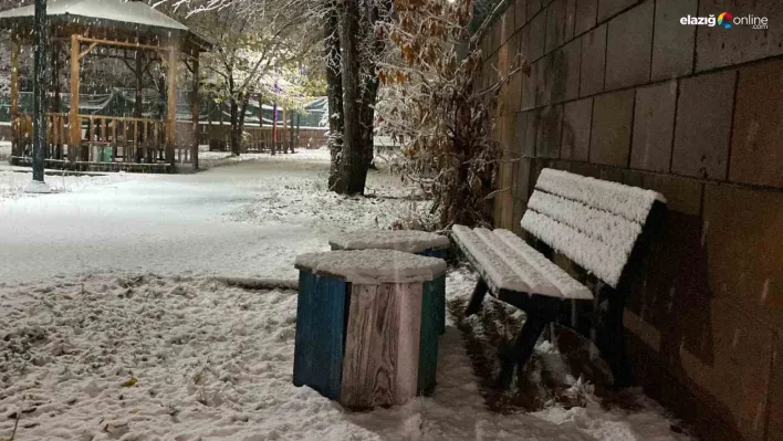 Karlıova'da beklenen kar yağışı başladı