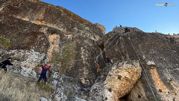 Kayalıklarda mahsur kalan 25 keçi kurtarıldı