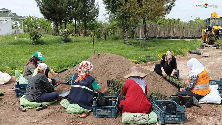 Kayapınar Belediyesi 1 milyon 500 bin bitki üretmeyi hedefliyor