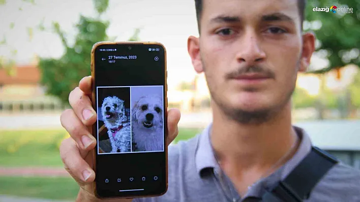 Kaybolan köpeğini sokak sokak gezerek arıyor!