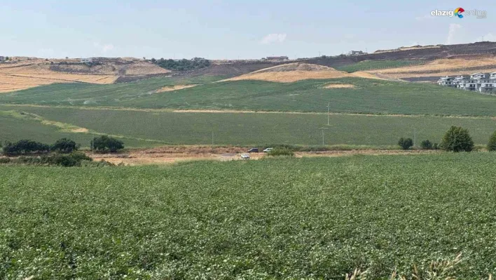 İçişleri Bakanı Yerlikaya duyurdu! Narin'in cansız bedenine ulaşıldı