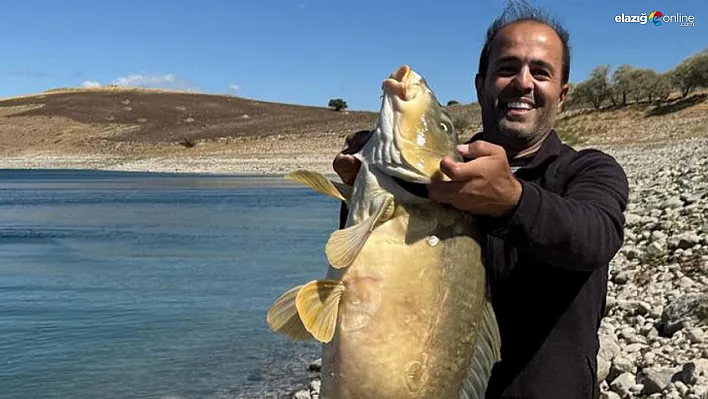 Keban Barajı'nda Nefes Kesen Anlar: 21 Kilo Sazan Görenleri Şaşırttı!