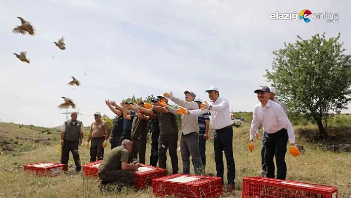Yaban hayatını destekleme çalışmaları tüm hızıyla sürüyor