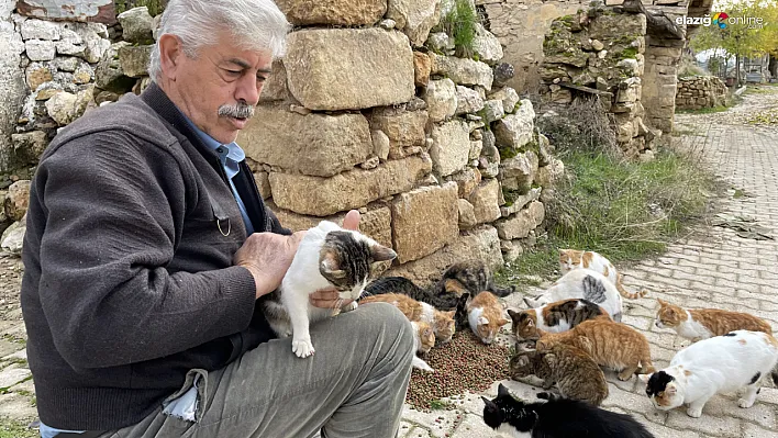 Kedilere torunları gibi bakan Muhtar Özdem yürekleri ısıttı!