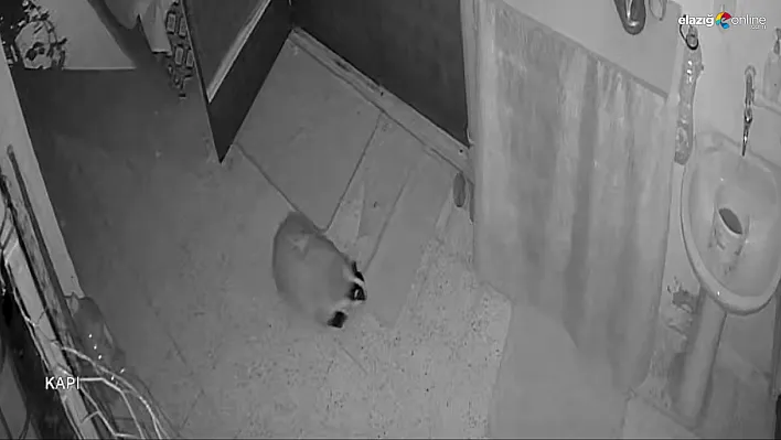 Köy evinde Porsuk sorunu alarmla çözüldü