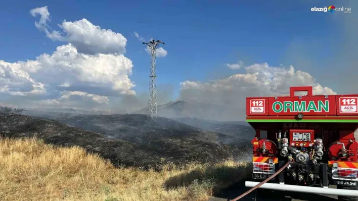 Kırsal alandaki yangın ormana sıçramadan söndürüldü