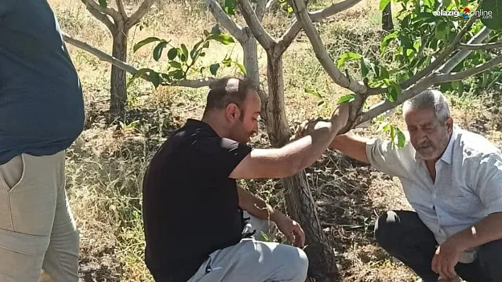 Kovancılar'da Tarım Atağı: 14 Köyde Çiftçilere Tarımsal Eğitim!